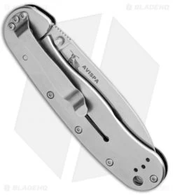 BRK Jeff Randall Avispa Frame Lock Knife Black (3.5" SK-5 Stonewash) -Buck Knives Store Avispa Black Carbon Steel BHQ 107201 jr side