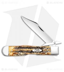 Case Cheetah Pocket Knife 4.375" 6.5 BoneStag (6.5111 1/2L SS) 65319