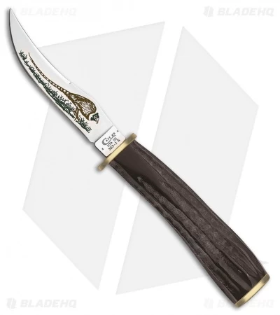 Case Pheasant Hunter Fixed Blade Knife Buffalo Horn (3.25" Mirror) 17917 3 Case Pheasant Hunter Fixed Blade Knife Buffalo Horn (3.25" Mirror) 17917