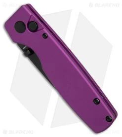 Kizer Vanguard Original Button Lock Knife Purple Aluminum (3" Black) 8 Kizer Vanguard Original Button Lock Knife Purple Aluminum (3" Black) -Buck Knives Store Kizer Original Button Lock Aluminum Purple Black BHQ 179149 jr spine