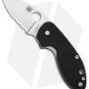 Spyderco Insistent Liner Lock Knife Black G-10 (2.48" Satin Serr) C246GPS