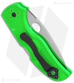 Spyderco Native 5 Salt Lockback Knife Green FRN (3" Satin LC200N) C41PGR5 -Buck Knives Store Spyderco Native 5 Salt LB Green FRN Satin BHQ 145692 jr side